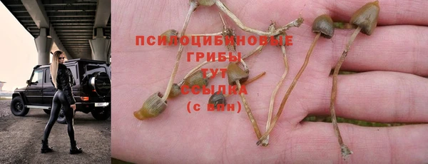дурь Аркадак