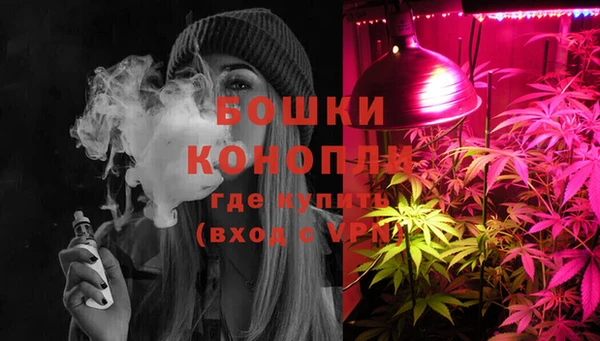 дурь Аркадак