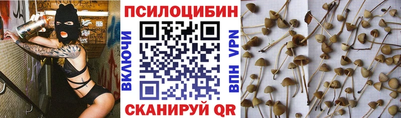 Галлюциногенные грибы GOLDEN TEACHER  Ухта 